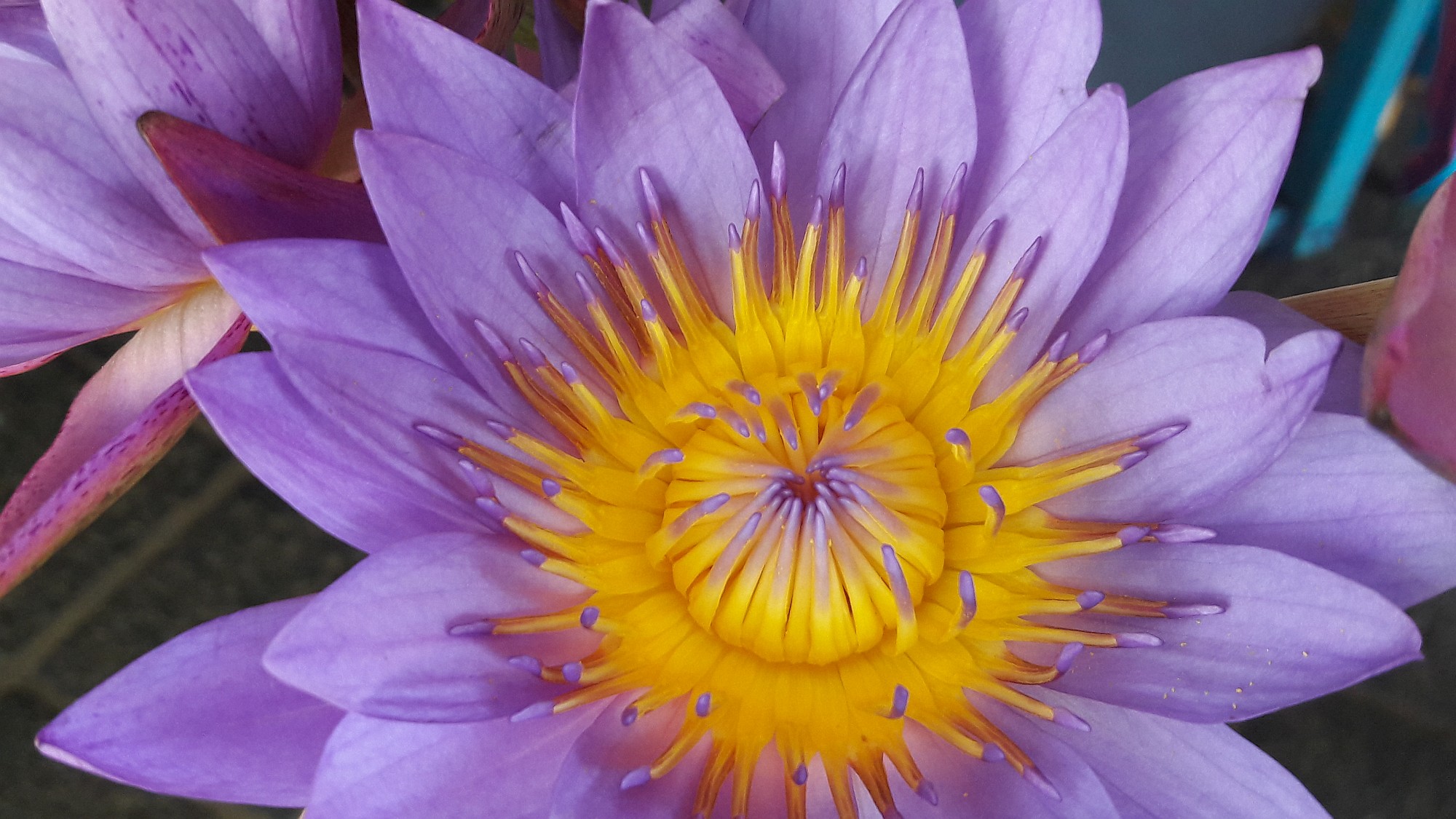 E-časopis št. 399 - 3. avgust