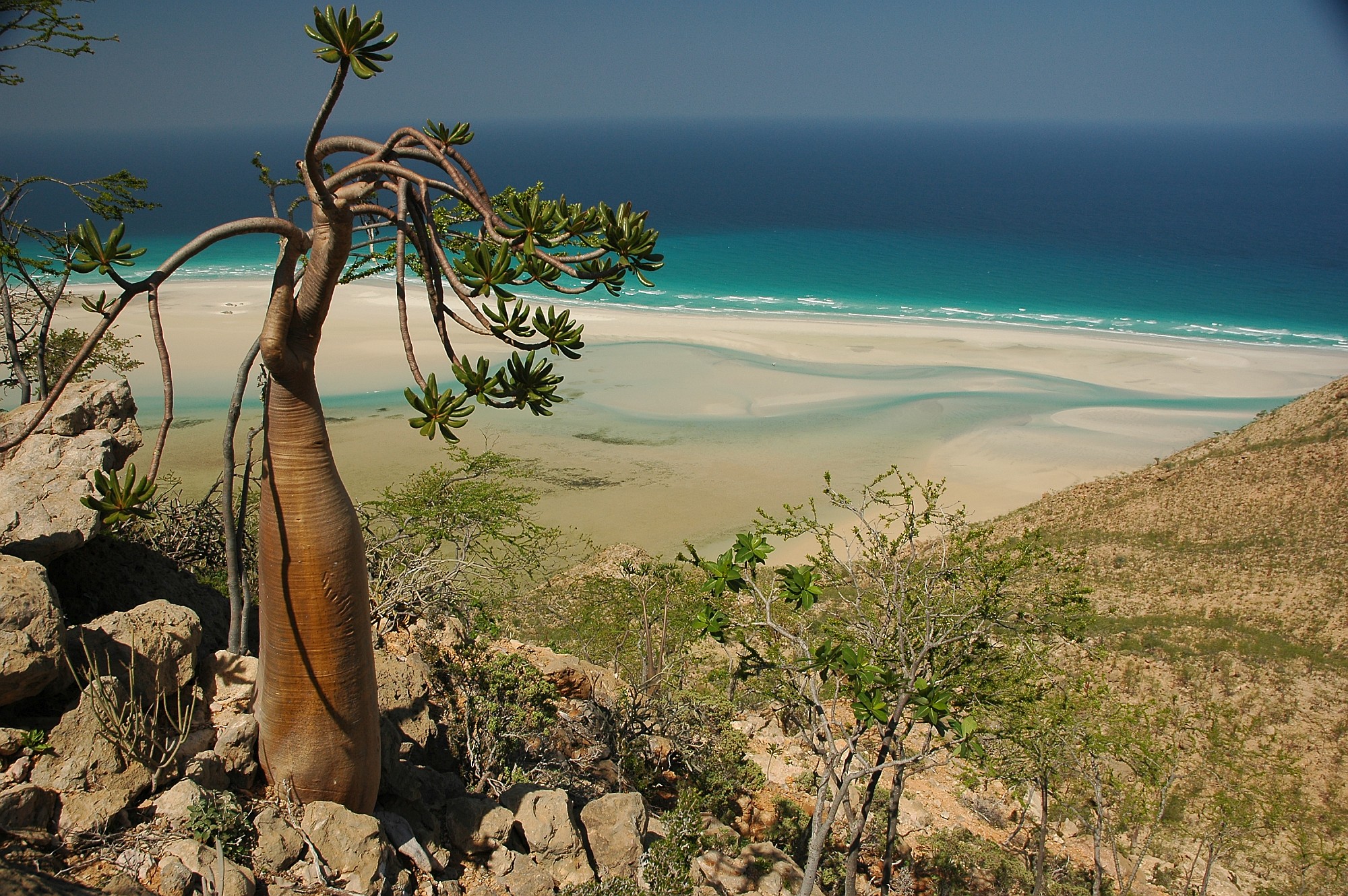 E -časopis št. 414 - 7. december