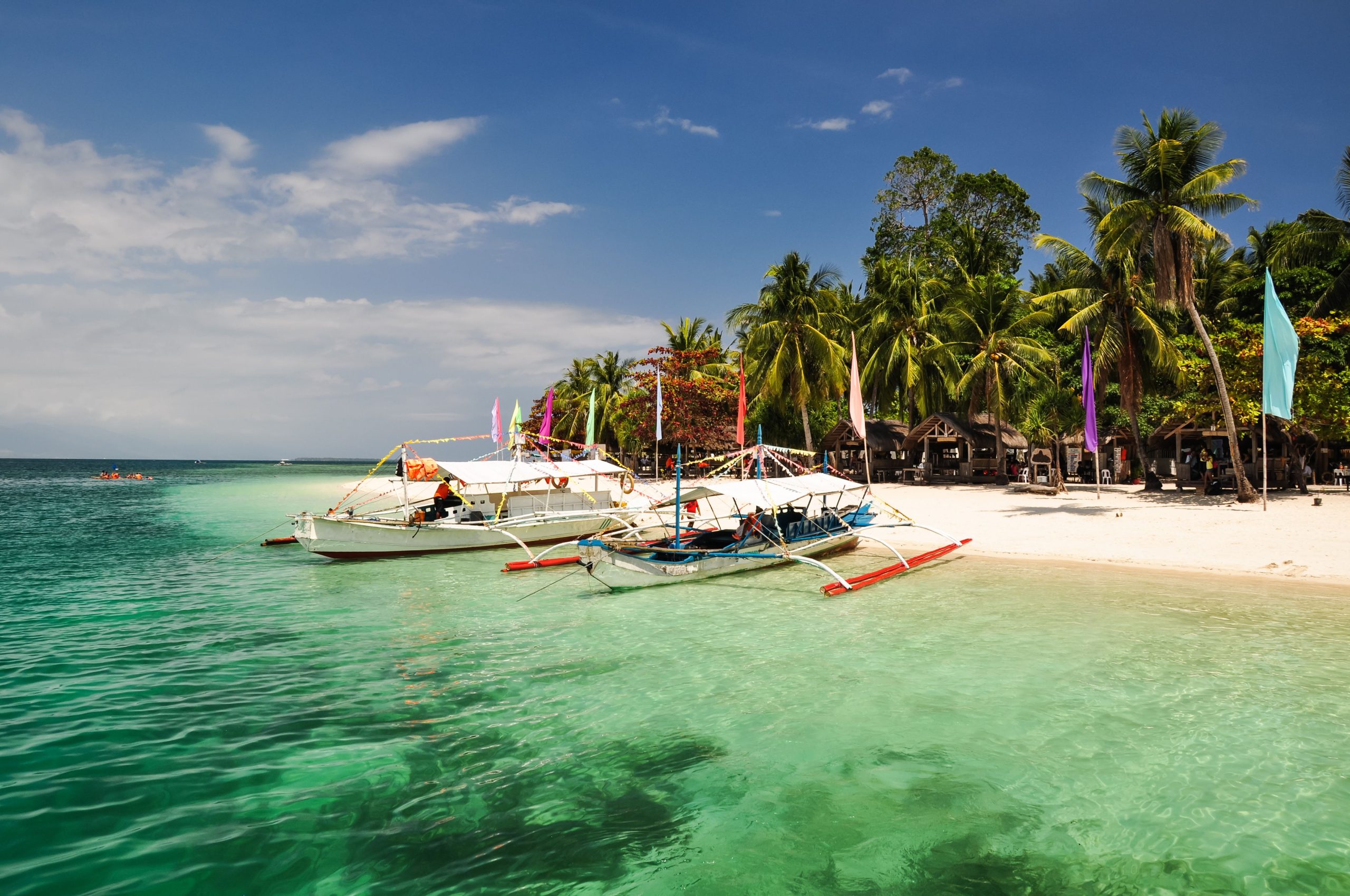 E -časopis št. 441 - 14. junij