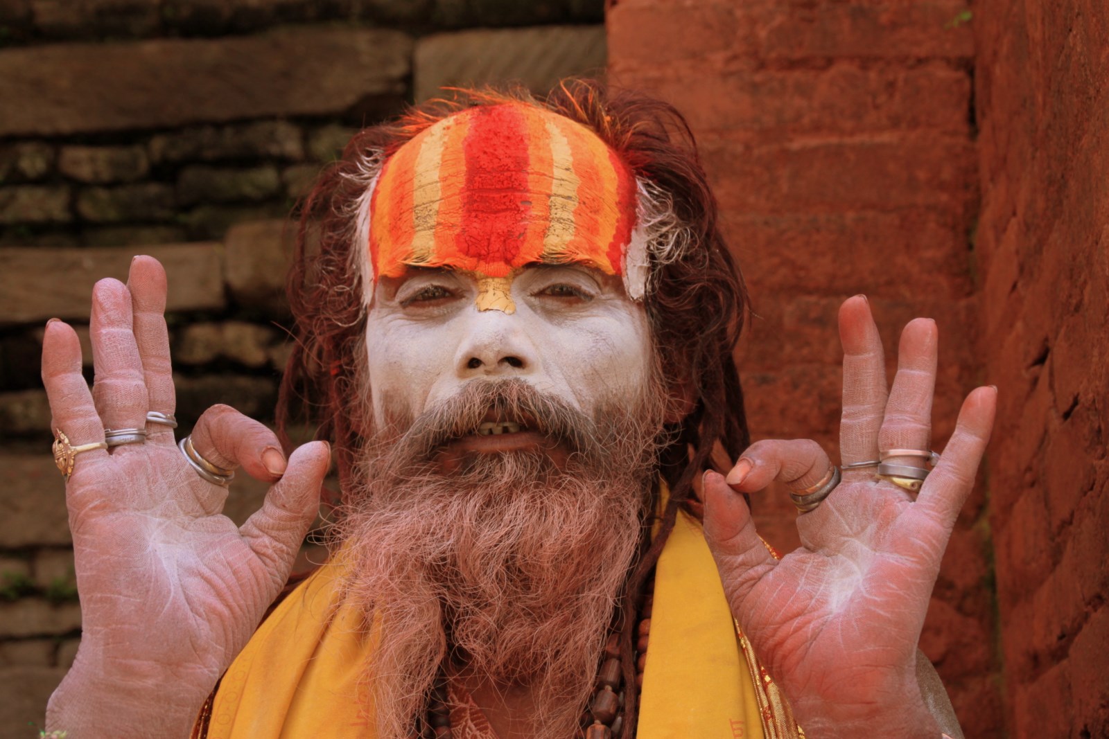 E -časopis št. 445 - 12. julij