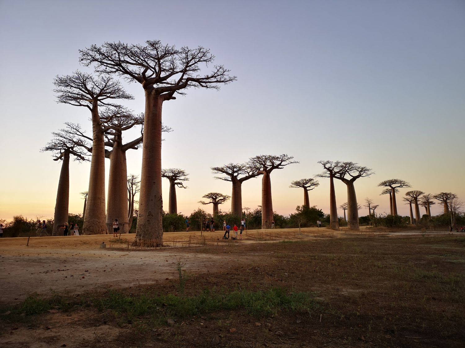 E -časopis št. 463 - 13. december