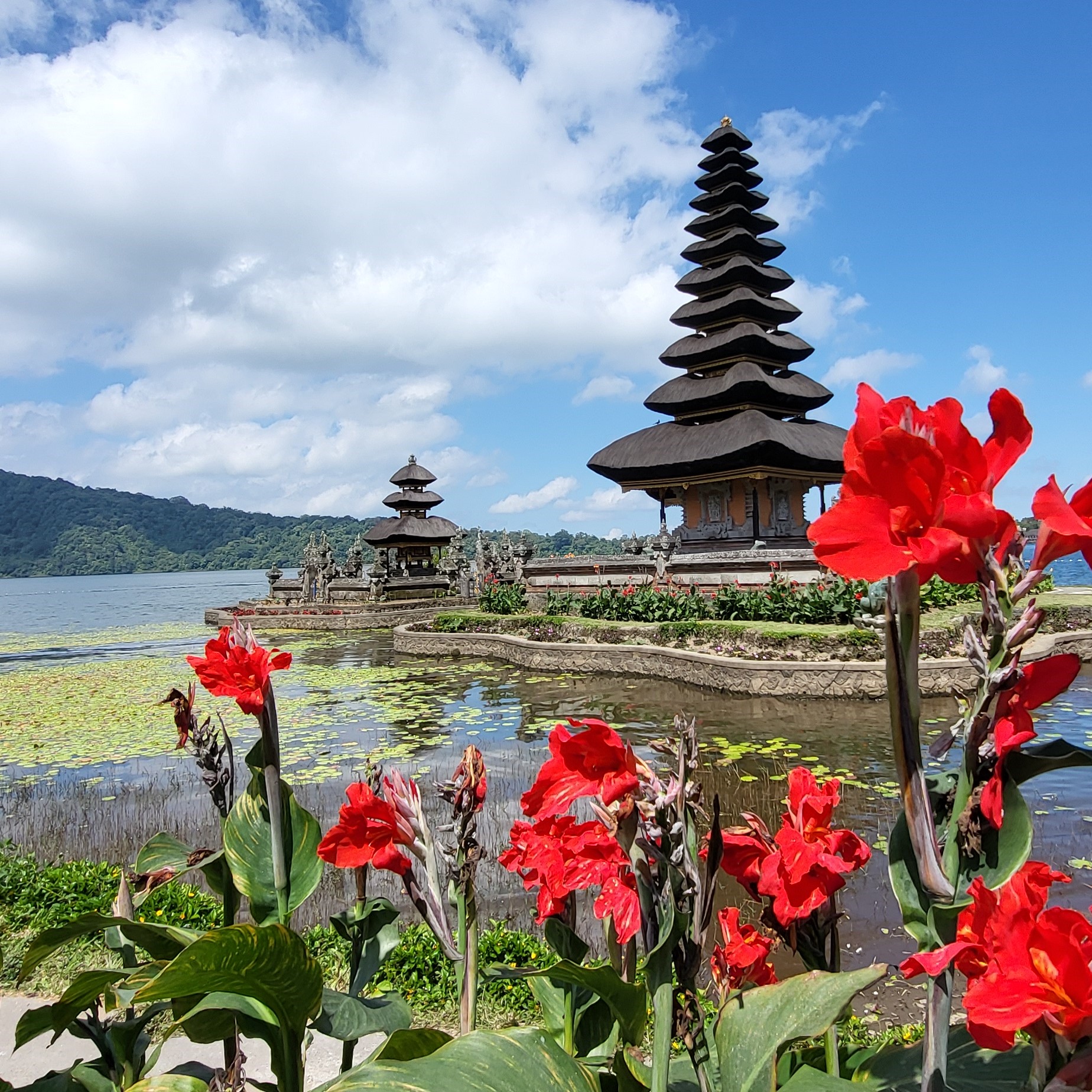 E -časopis št. 499 - 28. avgust