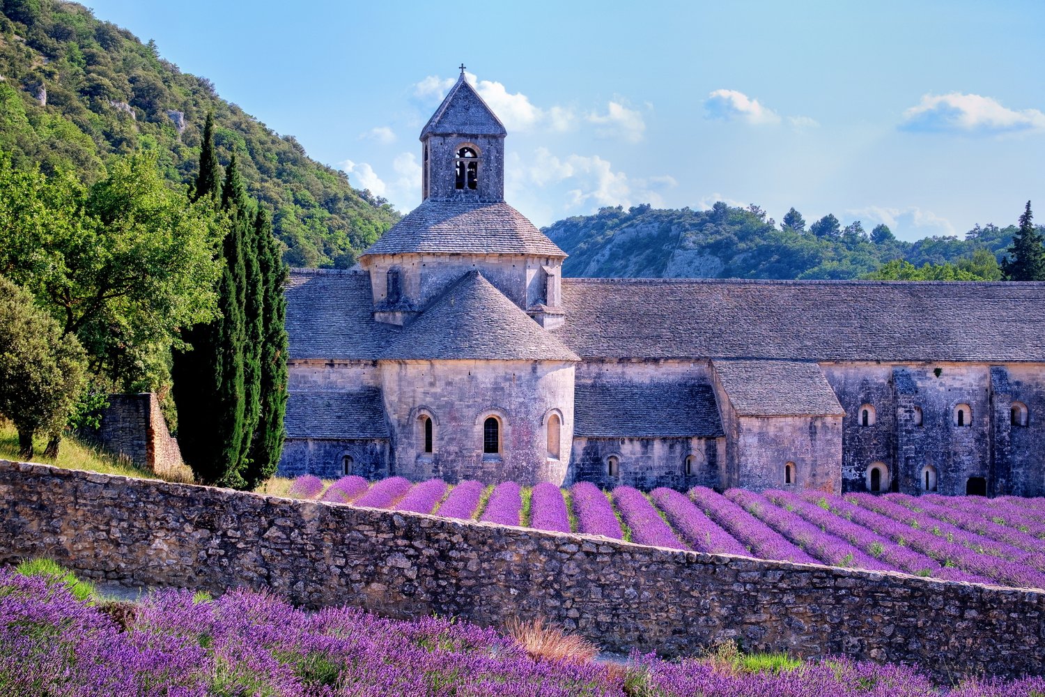 E -časopis št. 495 - 31. julij