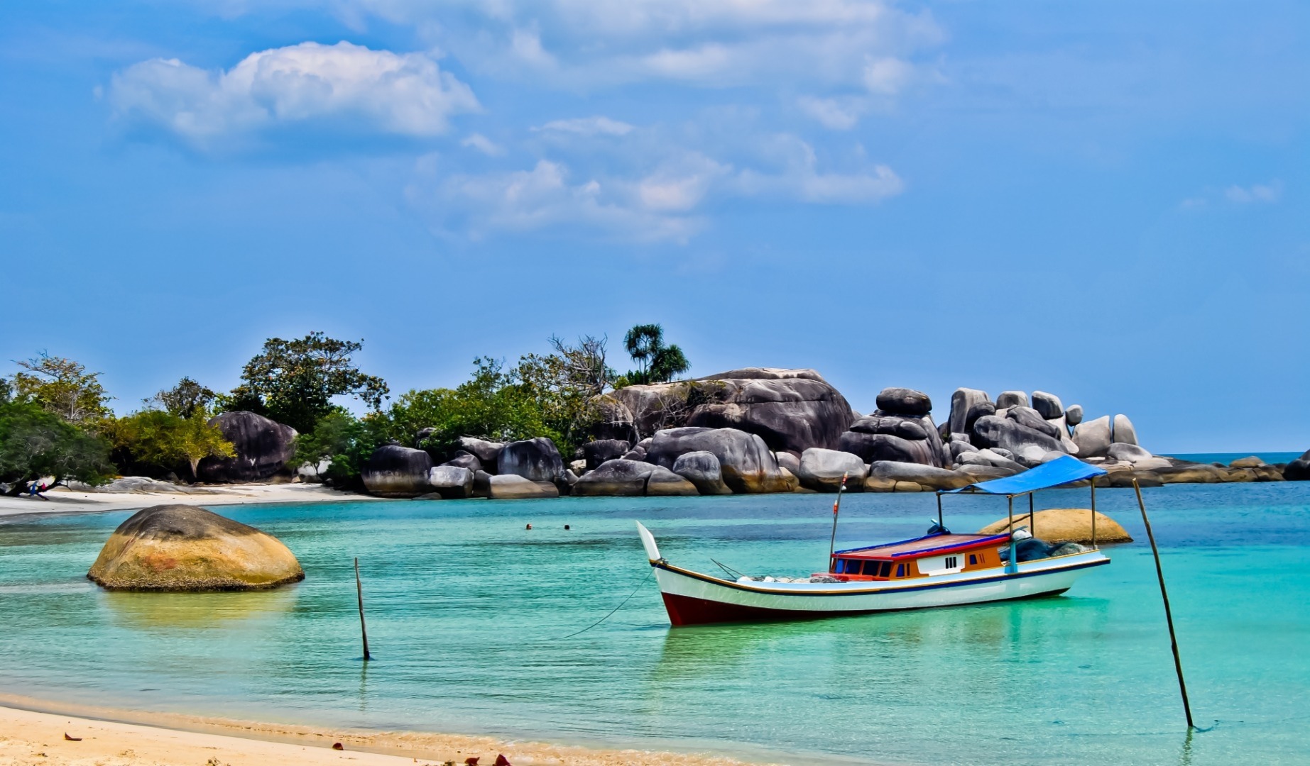 E -časopis št. 504 - 2. oktober