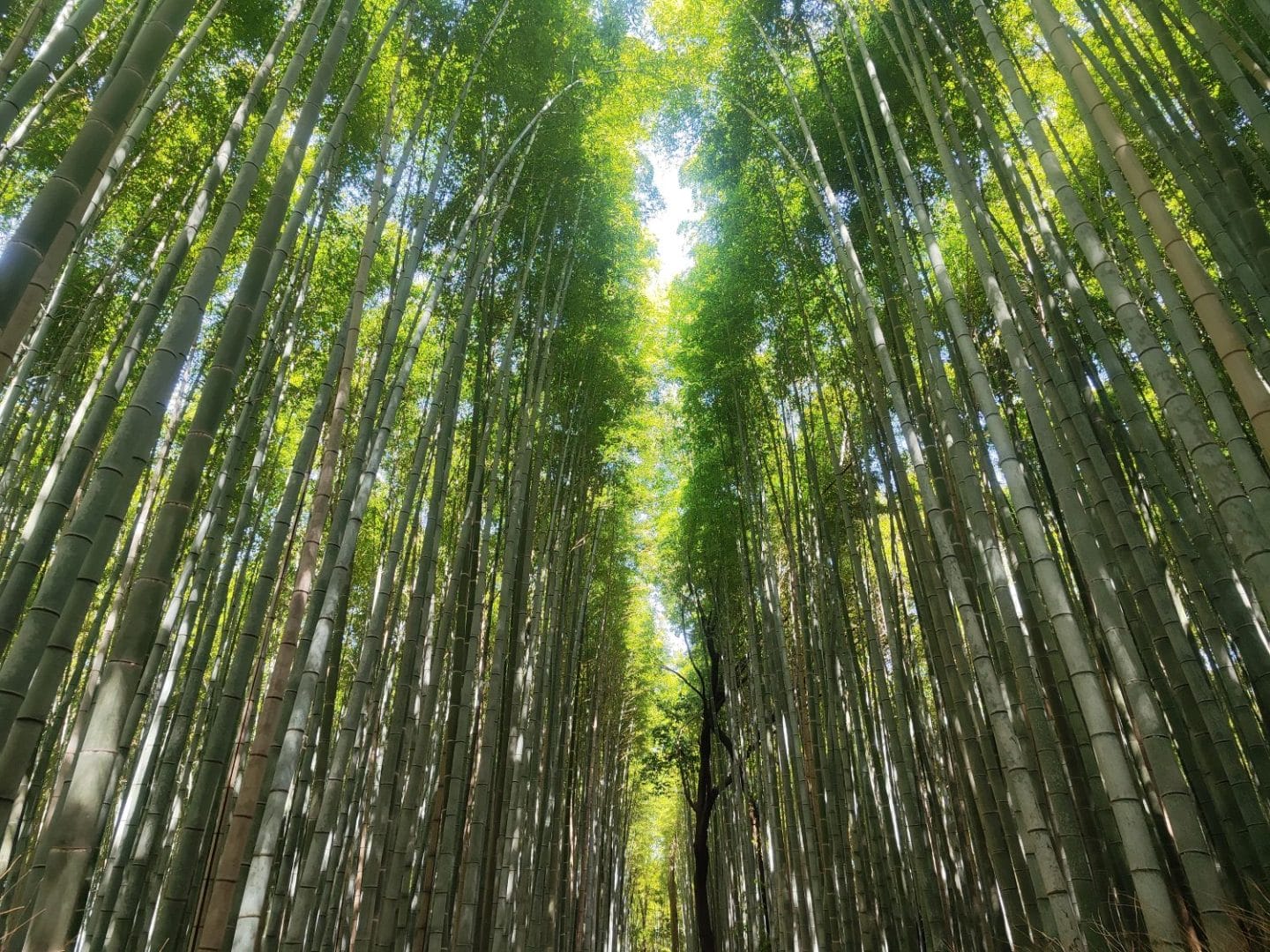 E - časopis št. 547 - 20. avgust