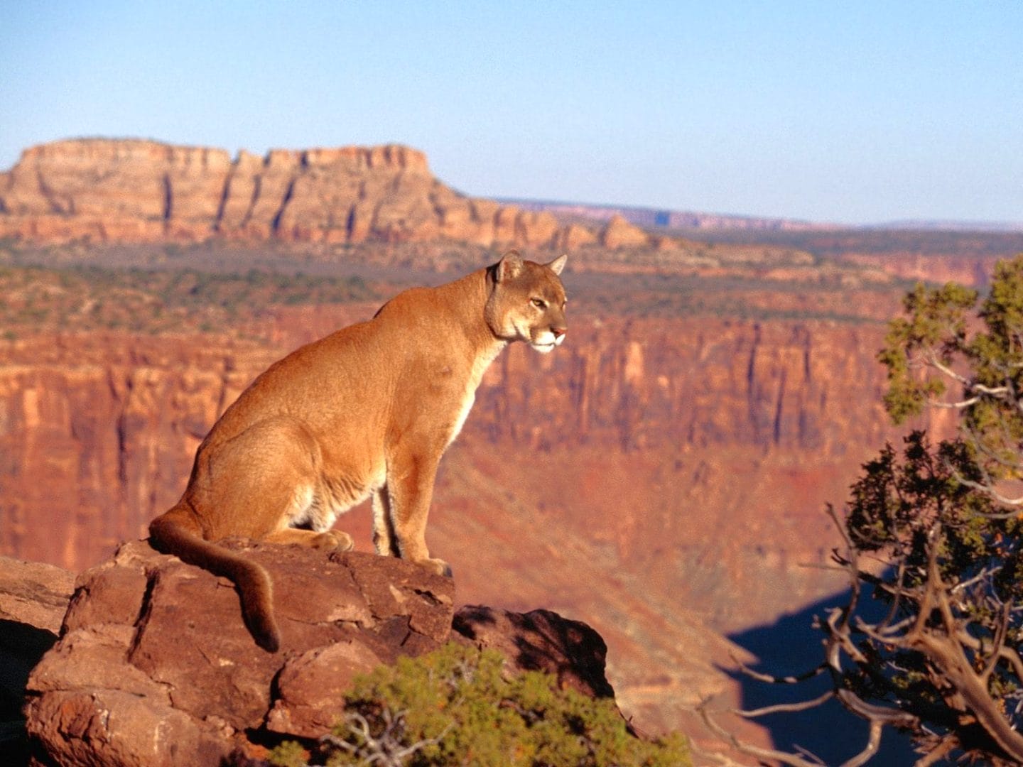 E - časopis št. 548 - 27. avgust