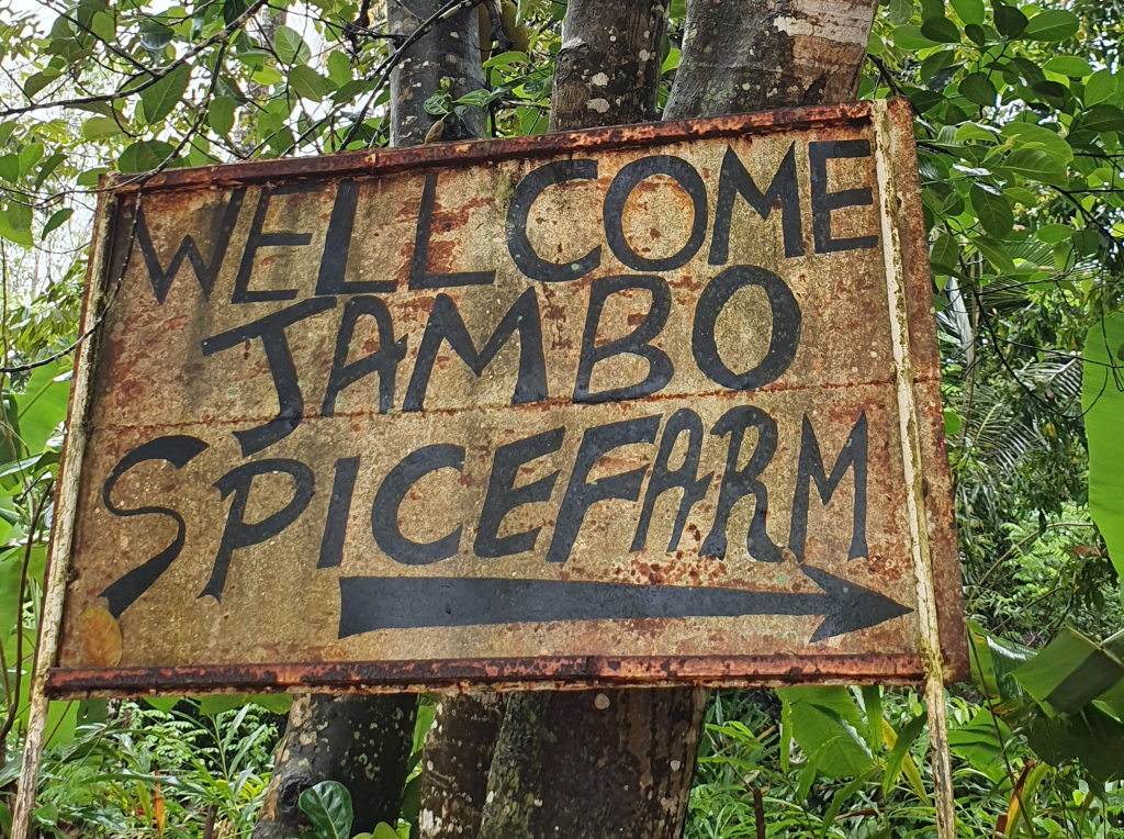 Zanzibar – otok začimb in zakladnica tropskega sadja