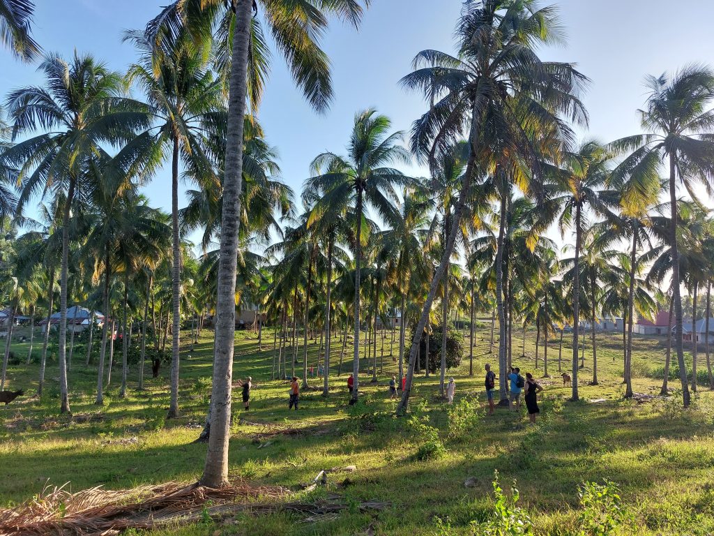 Spontano dopoldne na Sulawesiju ali dopoldne, ki je bilo vse