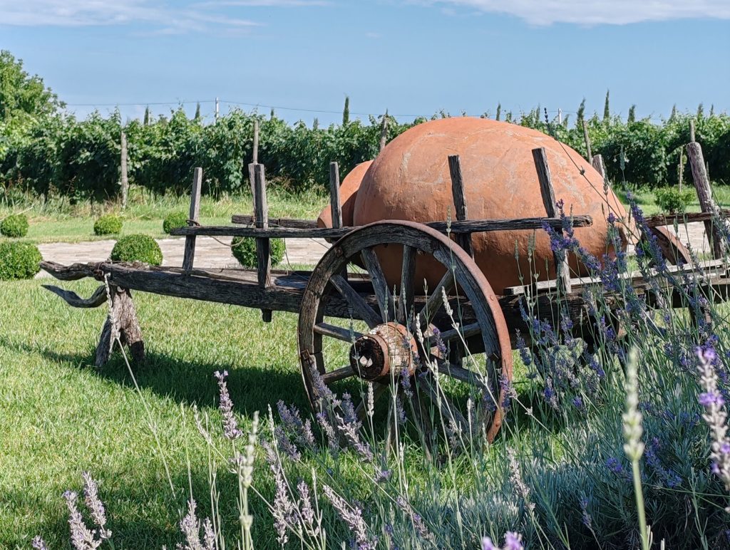 V Gruziji se pijeta vino in čača