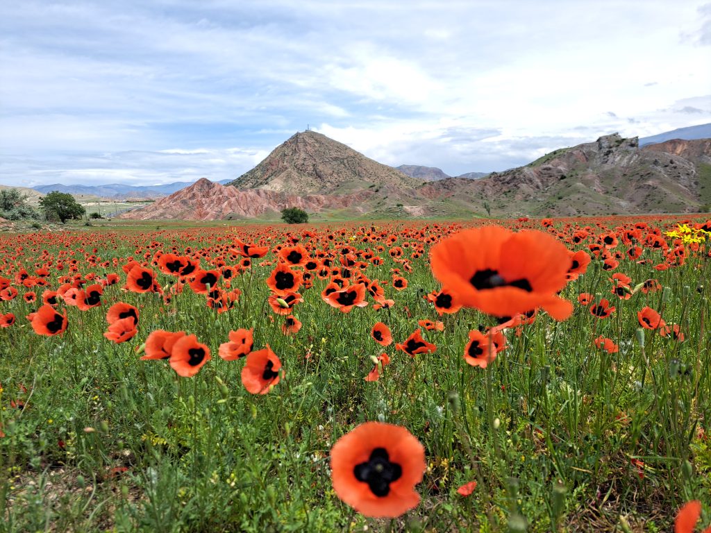 Vzhodna Turčija – 8 najlepših potovalnih doživetij