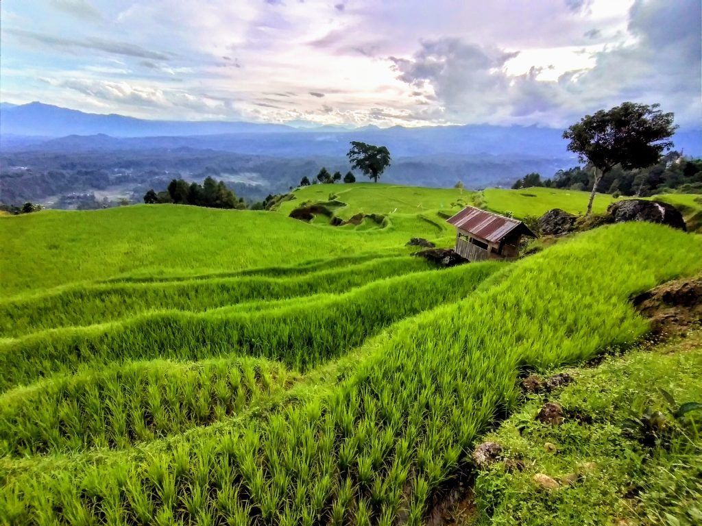 Otok na otok – Indonezija