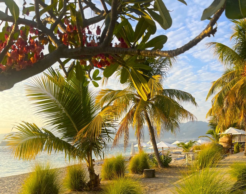 Najboljše dogodivščine Indonezije