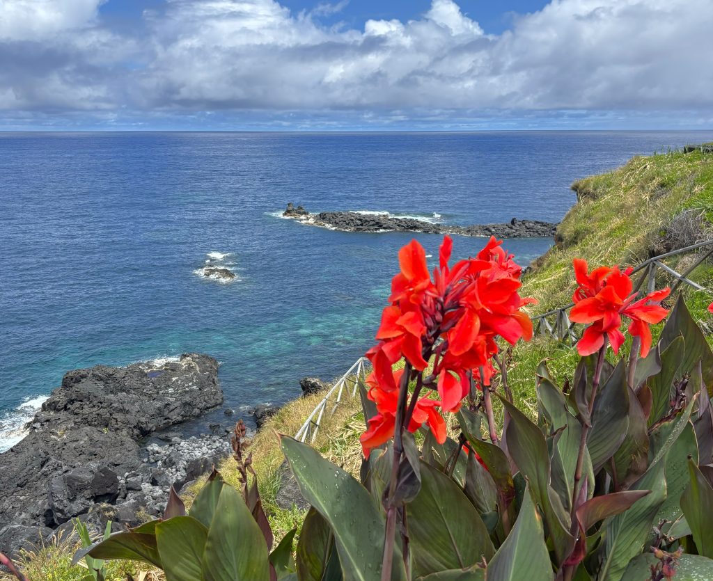 Srce otoka São Miguel - Ponta Delgada