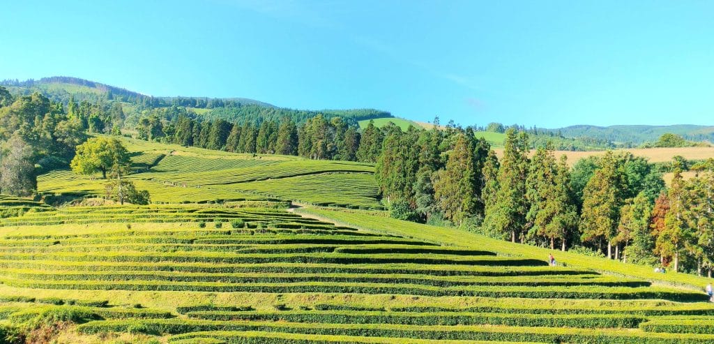 Vrhunci Madeire z Azori - vse je za nekaj dobro