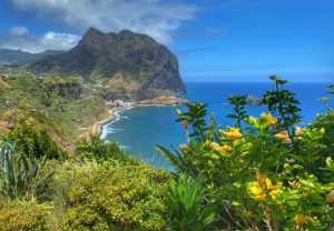 Stvari, ki si jih želimo prinesti z Madeire