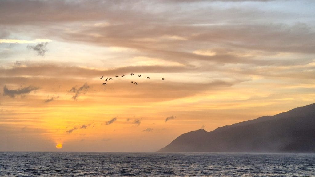 Zelenortska nagajivščina - razlike med Zelenortskimi otoki